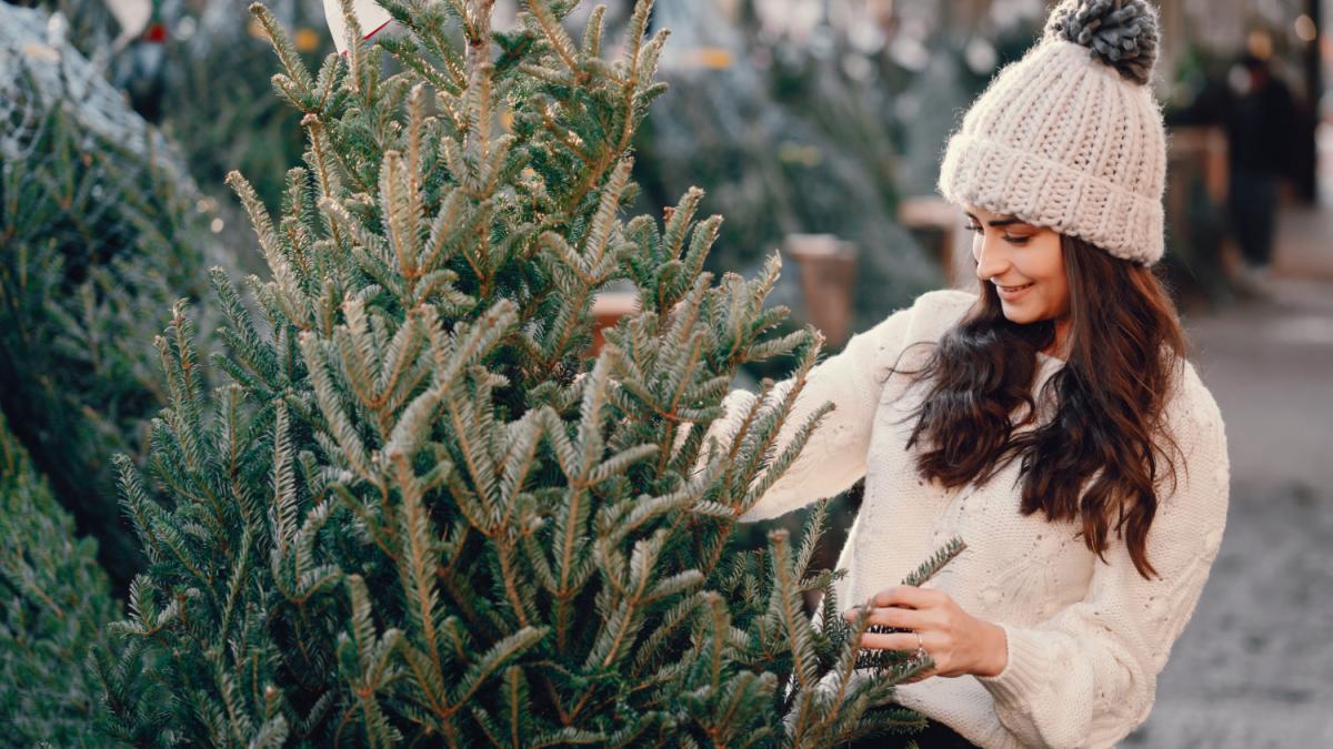 Покупка елки