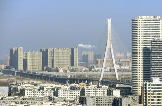 Маршрут зимнего путешествия по Харбину включает парк тигров, ледовые скульптуры и термальные источники — путешественники