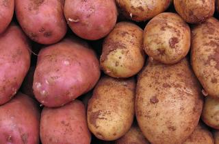 Морщинистый картофель портит ужин — тихий сигнал, который многие игнорируют