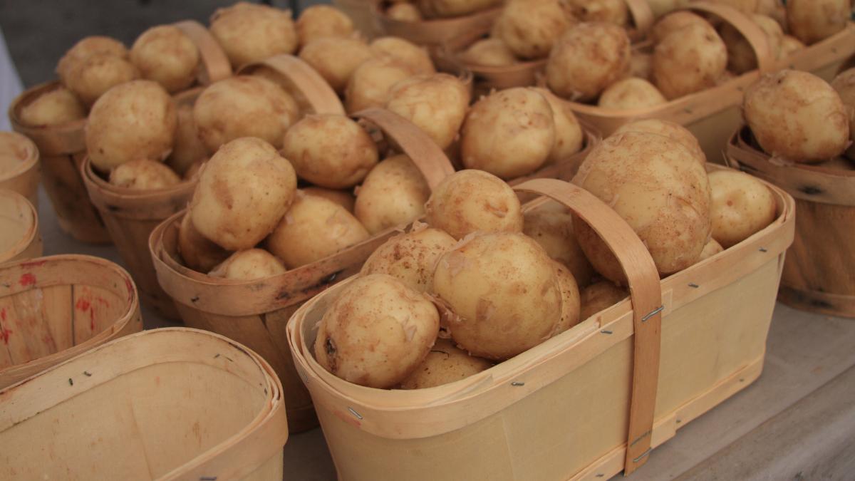 Bunch o' Potatoes (3714635149) Bunch o' Potatoes (3714635149)