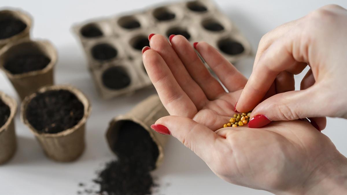 Калибровка семян