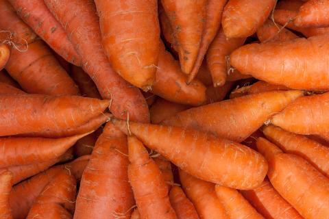 Секреты дерматологов: какие продукты помогут улучшить защиту кожи