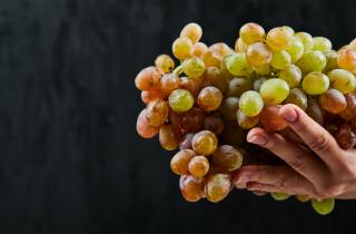 Виноград вырастили и заставили плодоносить в горшке — Николай Глущенко