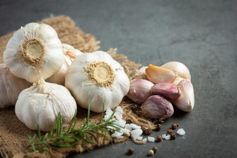 Хранение чеснока в банках с золой или мукой защищает его от гнили
