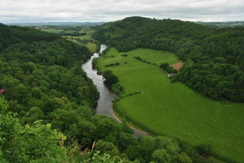 Осенние краски в дендрарии Уэстонберт: более 2500 видов деревьев