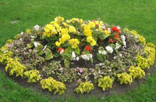 Подготовка почвы для клумбы повышает урожайность и предотвращает рост сорняков