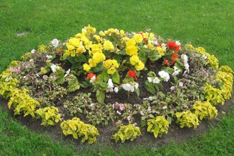 Подготовка почвы для клумбы повышает урожайность и предотвращает рост сорняков Подготовка почвы для клумбы повышает урожайность и предотвращает рост сорняков