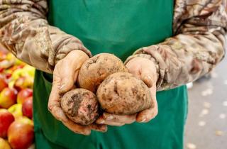 Картофельная кожура улучшает почву и повышает урожайность садовых культур зимой — Олег Седов