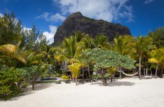 Потратила пару часов на экскурсию по Маврику – и теперь не могу забыть эти виды