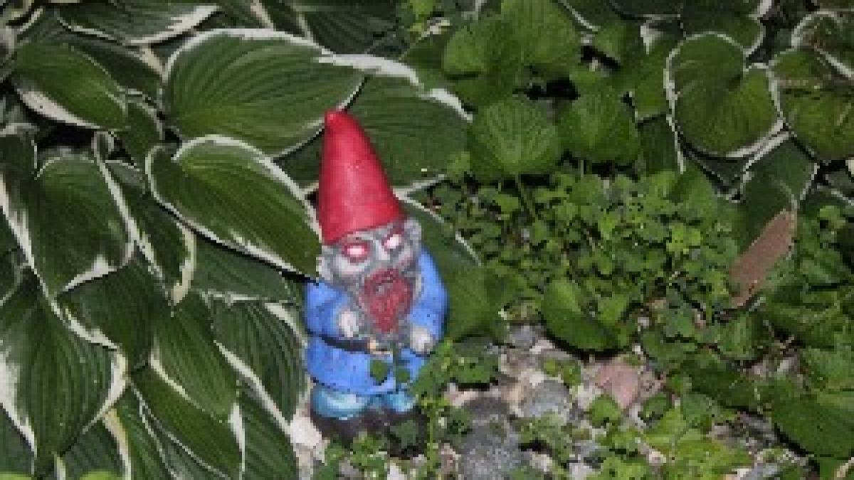 Zombie garden gnome Zombie garden gnome
