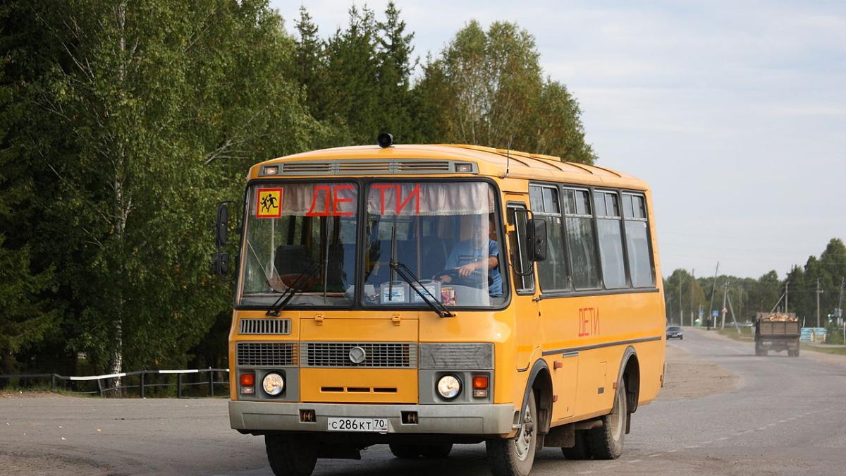 школьный автобус школьный автобус