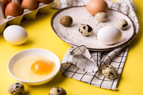 Перепелиные яйца содержат больше холестерина, чем куриные — Евгения Мельникова