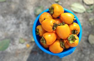 Фрукты укрепляют иммунитет в зимний период — диетолог Митико Томиока