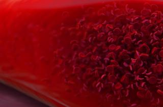 Клеточный баркодинг изменил взгляды на кровь — заявил Алехо Родригес Фратичелли