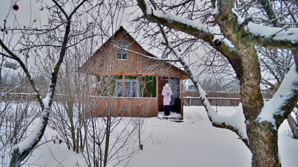 Сад, огород зимой