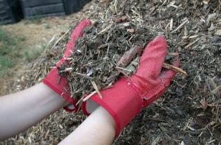 Горячая трава защищает грядки и помогает теплолюбивым культурам