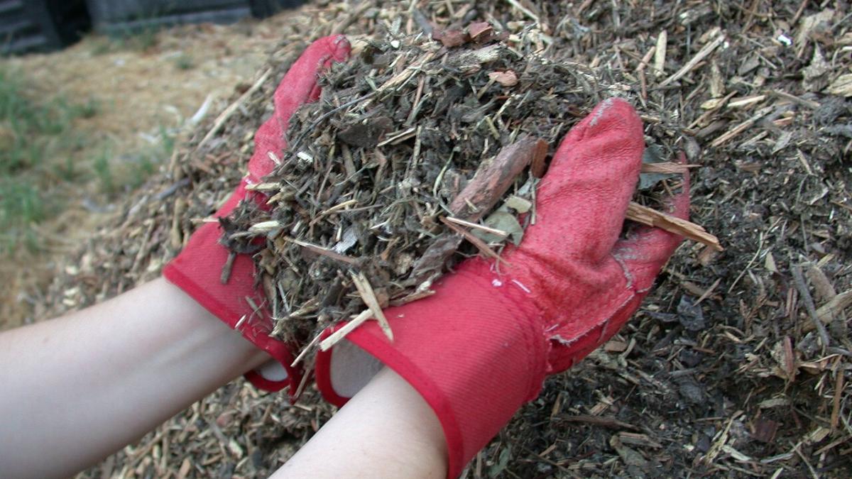 Щепа для мульчирования