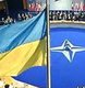 НАТО хочет от Украины взаимности