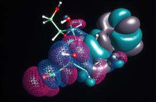 Стволовые клетки получили избыток митохондрий с помощью наноцветов — PNAS