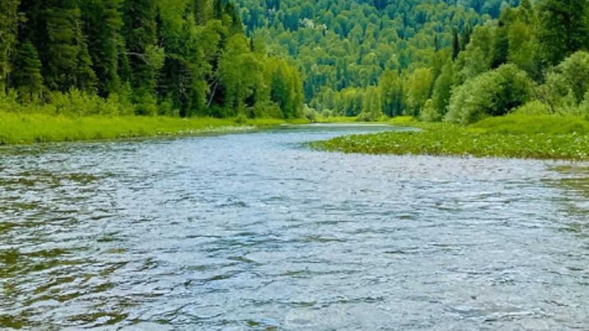 Кемеровская область, река Мрас-Су