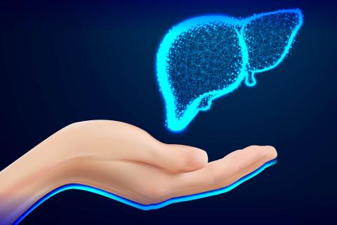 Гастроэнтеролог Харлов назвал продукты и привычки, разрушающие печень Гастроэнтеролог Харлов назвал продукты и привычки, разрушающие печень