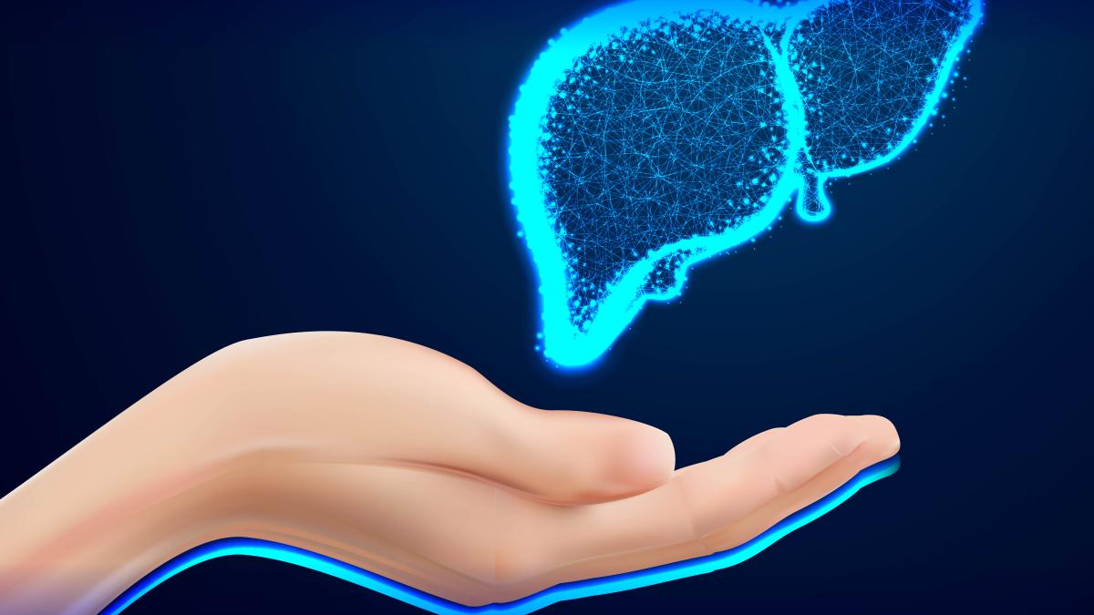 Здоровье печени Здоровье печени