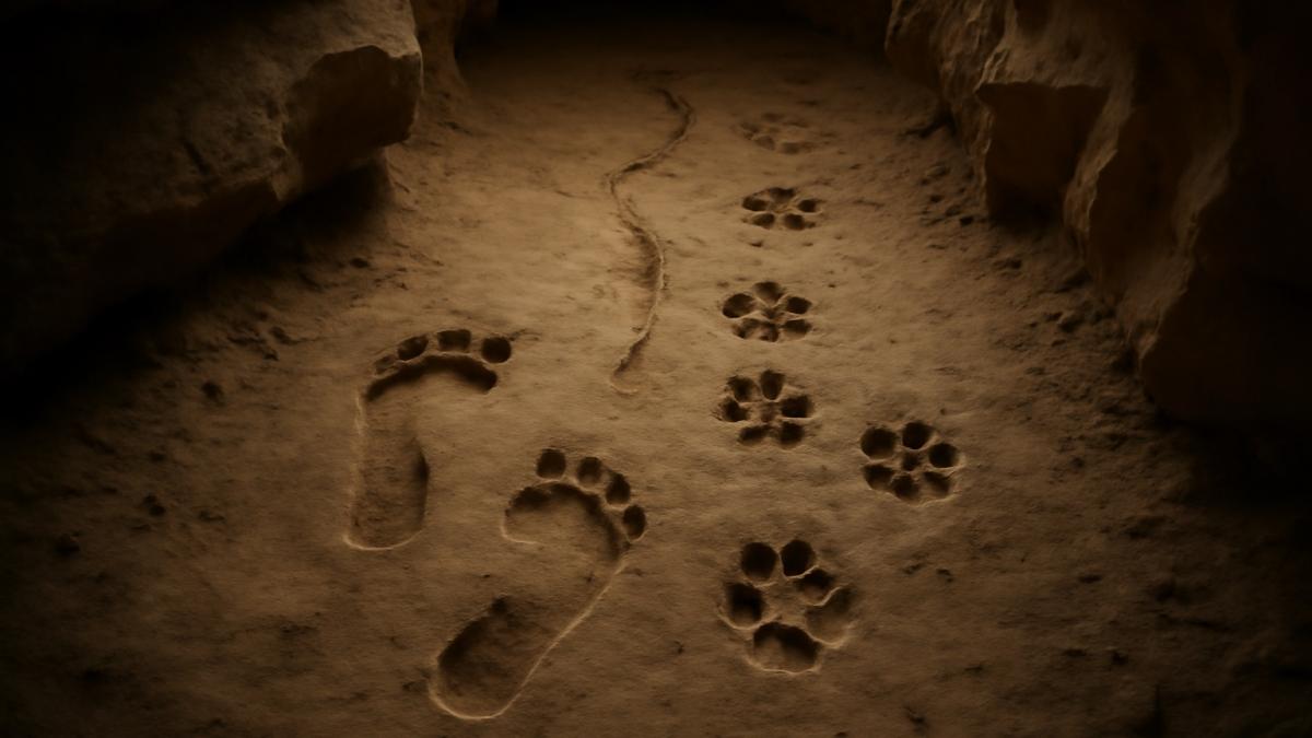 Древние следы человека и собаки в пещере