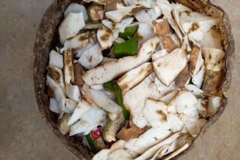Учёные: в картофельной кожуре содержатся калий, фосфор и магний для питания растений