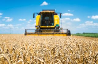 Власти Свердловской области пообещали выделить 4,7 млрд рублей на поддержку агропрома