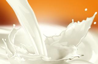 Свердловская область показала рост производства молока на 6 тыс. тонн по итогам 2025 года