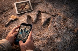 ИИ классифицировал следы динозавров с точностью 90% — PNAS