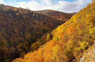 Самарская Лука: зимние туры, экскурсии и мифы о Ведьмино озере
