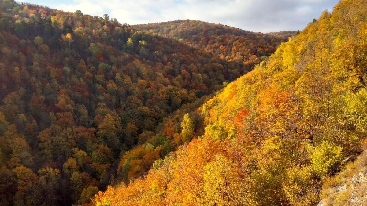 Самарская лука