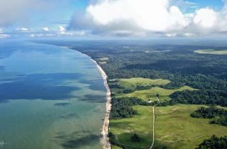 Дэн Грек называет Габон лучшей страной для поездок по дикой Африке — Daily Express