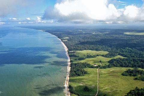 Дэн Грек называет Габон лучшей страной для поездок по дикой Африке — Daily Express