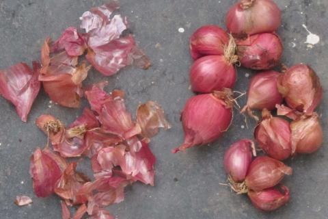 Домашнее удобрение из луковой шелухи и дрожжей заменяет магазинные препараты для цветов