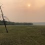 В ЯНАО 33 спасателя тушат 4 природных пожара на площади 15,3 гектара В ЯНАО 33 спасателя тушат 4 природных пожара на площади 15,3 гектара