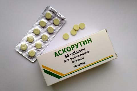 Аскорутин помогает растениям пережить зимний стресс и восстановить зелёный цвет — ботаник Анна Климова