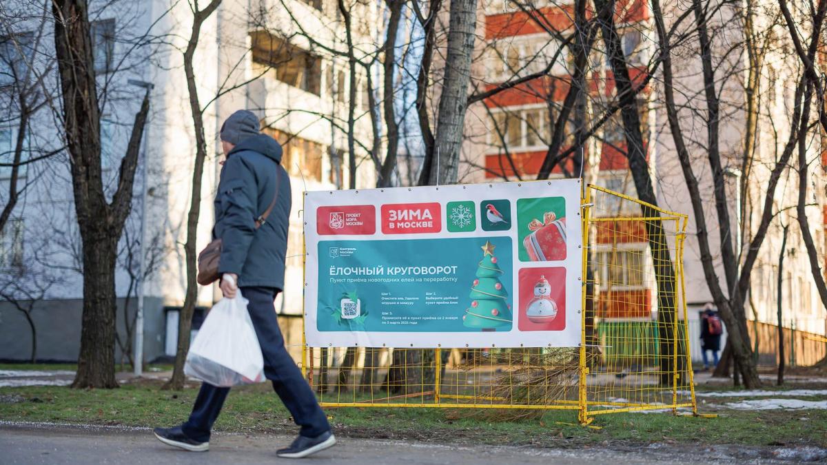 утилизация елки