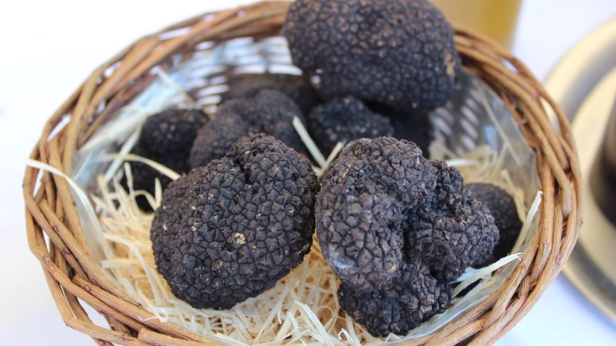 трюфель трюфель