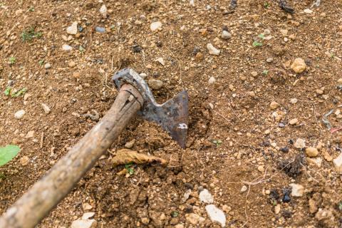 Отказ от перекопки восстанавливает структуру почвы — садоводы