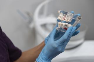 Углеводистые продукты вызывают липкий налёт на зубах и ускоряют каменеение – Алексей Антипенко