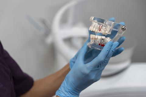 Углеводистые продукты вызывают липкий налёт на зубах и ускоряют каменеение – Алексей Антипенко