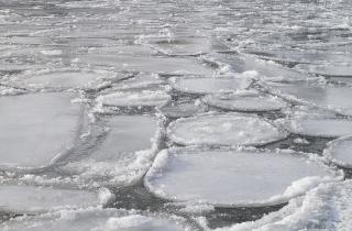 На Чукотке установились 40-градусные морозы и метели с ветром до 20 м/с