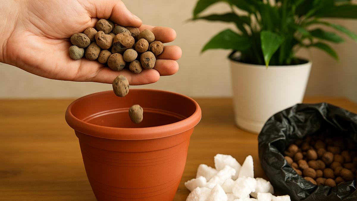 Дренаж для комнатных растений