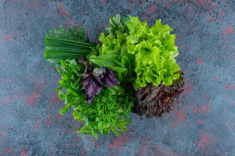 Зелёный лук, порей и сельдерей можно заново вырастить из кухонных обрезков за 7–10 дней