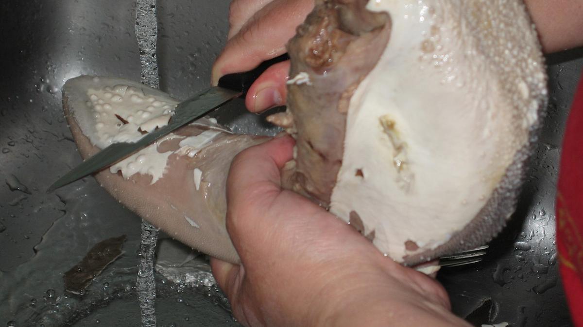 Говяжий язык