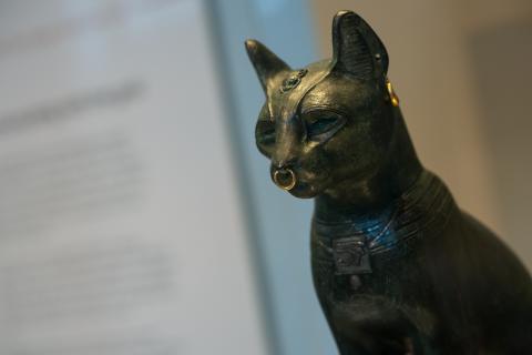 Кошки в Древнем Египте охраняли зерно и считались священными животными