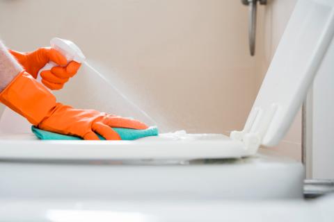 Специалисты JAB Plumbing Solutions: соль останавливает рост корней в канализационных трубах