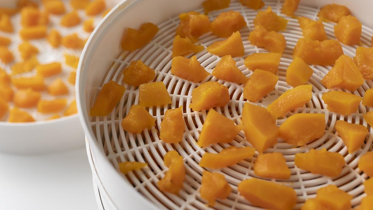 сушилка овощей и фруктов